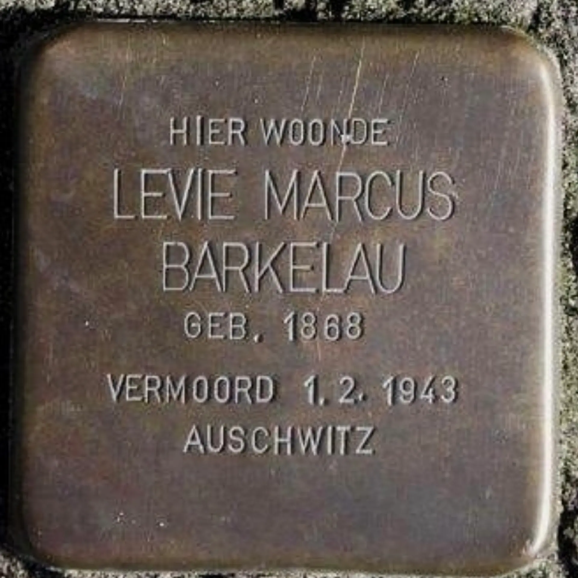 Struikelsteen voor Levie Marcus Barkelau