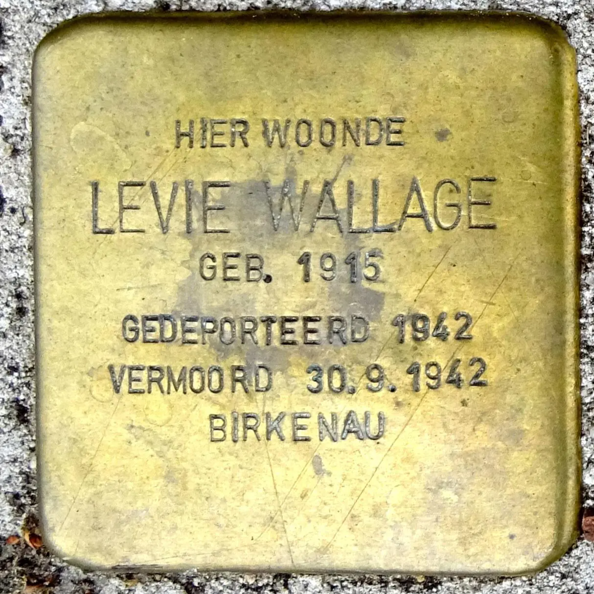Struikelsteen voor Levie Wallage