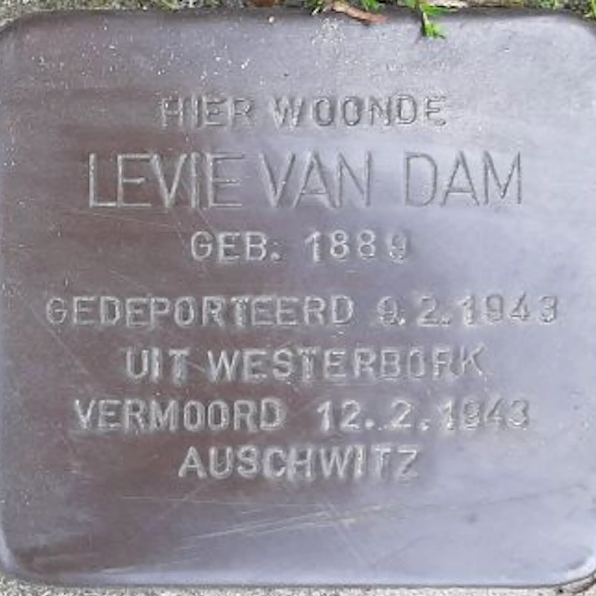 Struikelsteen voor Levie van Dam