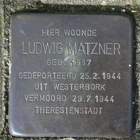 Struikelsteen voor Ludwig Matzner