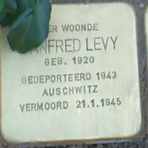 Struikelsteen voor Manfred Levy
