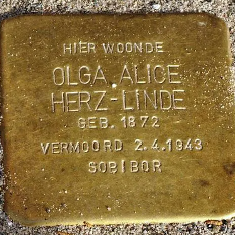 Struikelsteen voor Olga Alice Herz-Linde