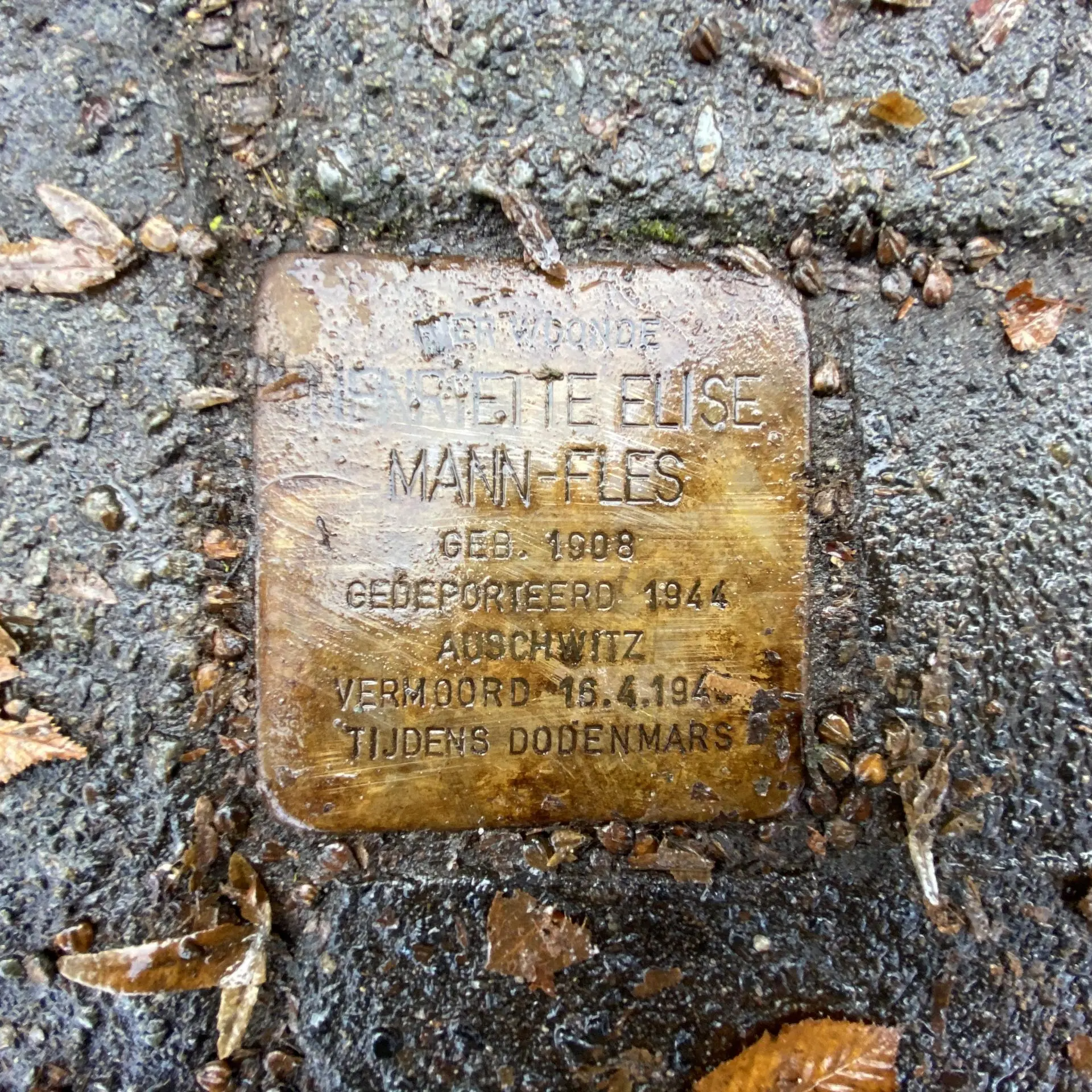 Struikelsteen voor Henriette Elise Mann-Fles