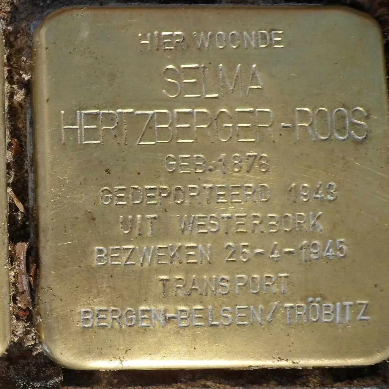 Struikelsteen voor Selma Hertzberger-Roos