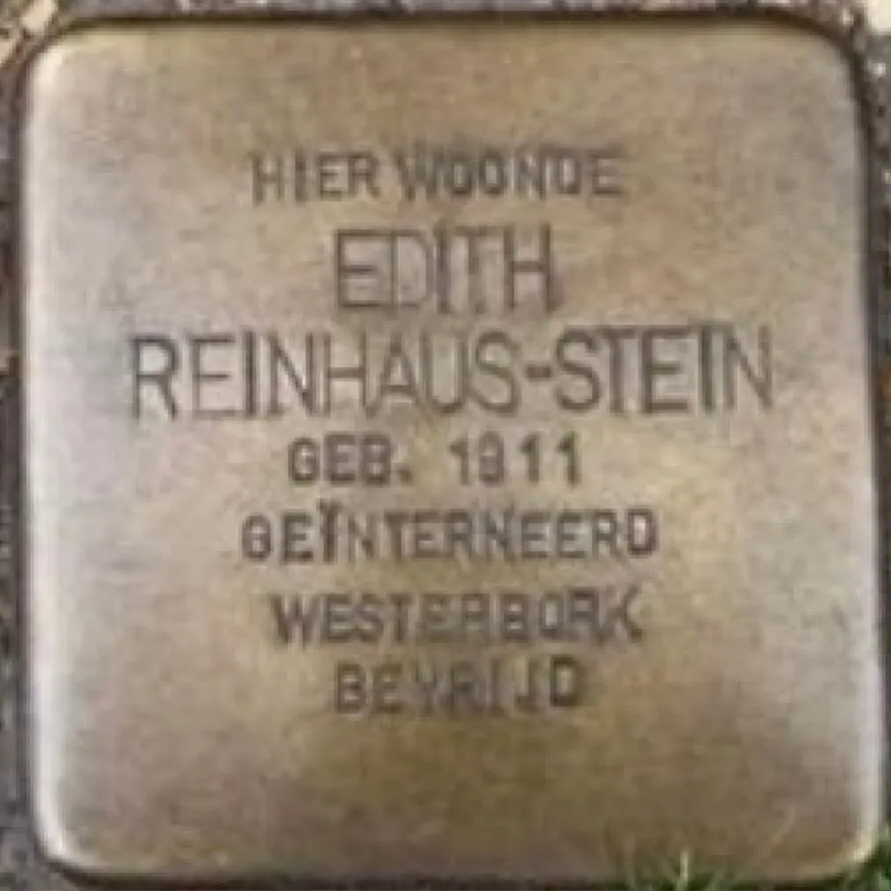 Struikelsteen voor Edith Stein-Reinhaus