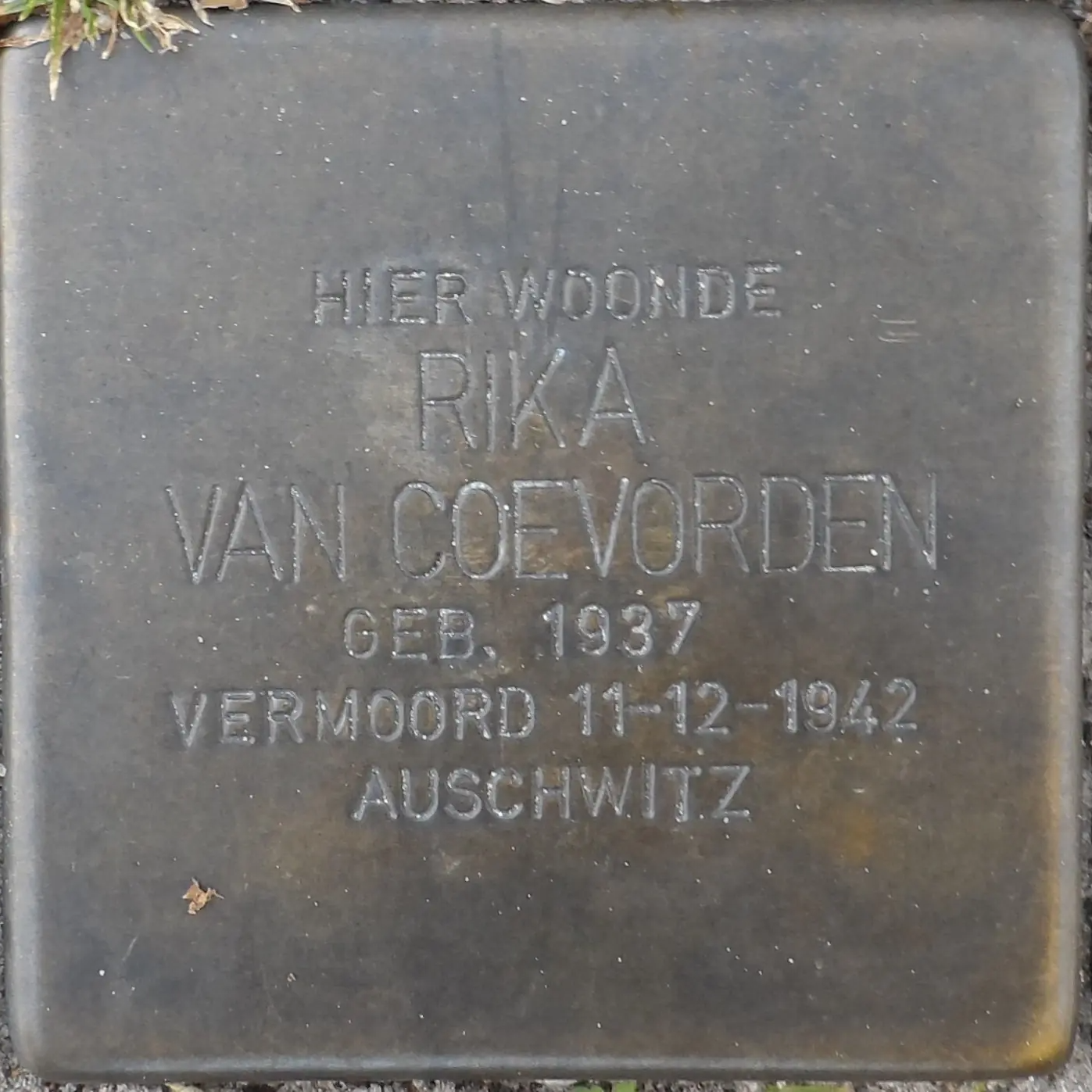 Struikelsteen voor Rika van Coeverden