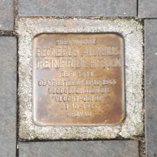 Struikelsteen voor Regnerus Aloysius de Hosson
