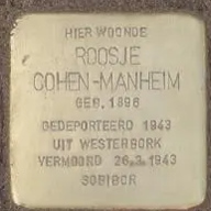 Struikelsteen voor Roosje Cohen-Manheim