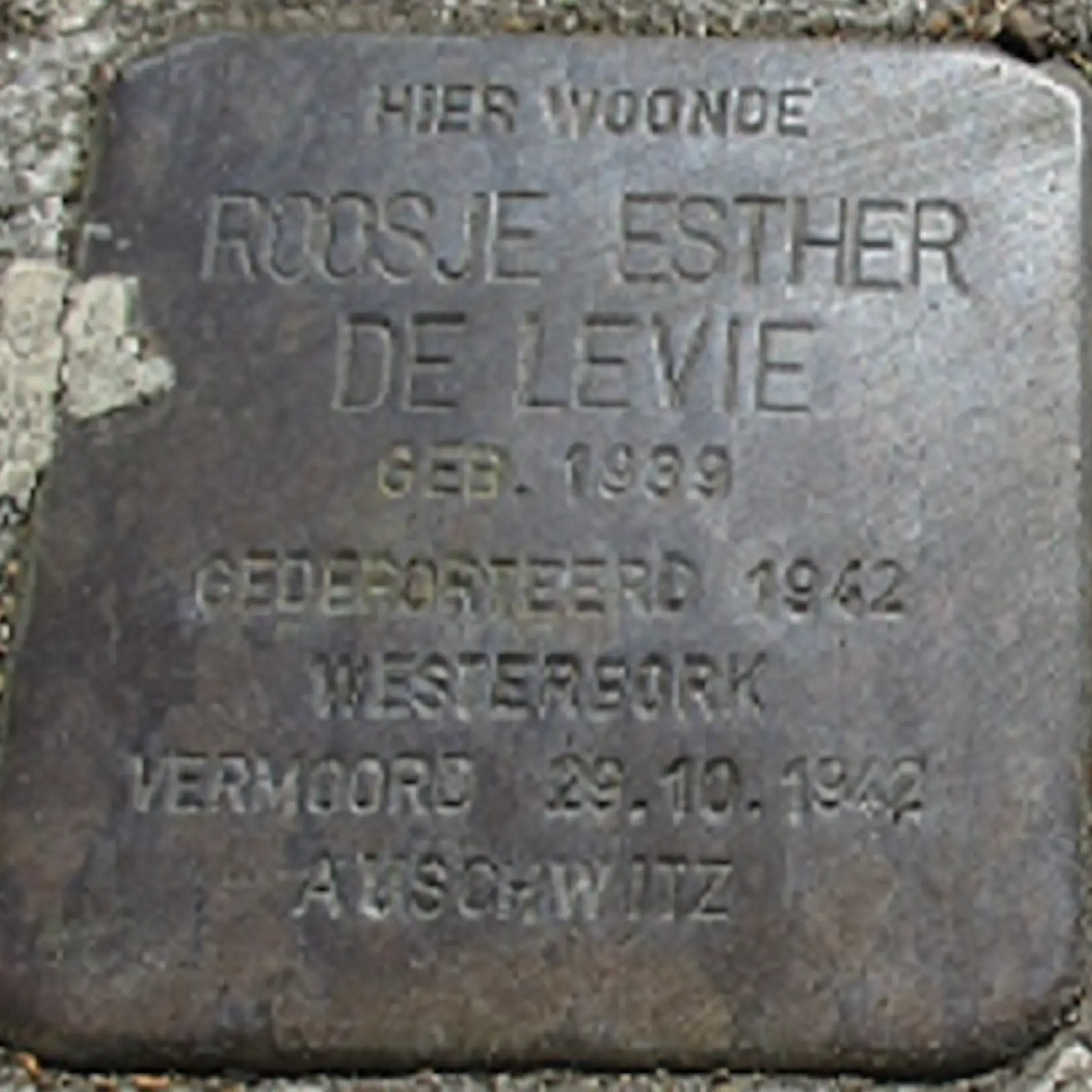 Struikelsteen voor Roosje Esther de Levie