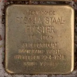 Struikelsteen voor Rosalia Staal-Förster
