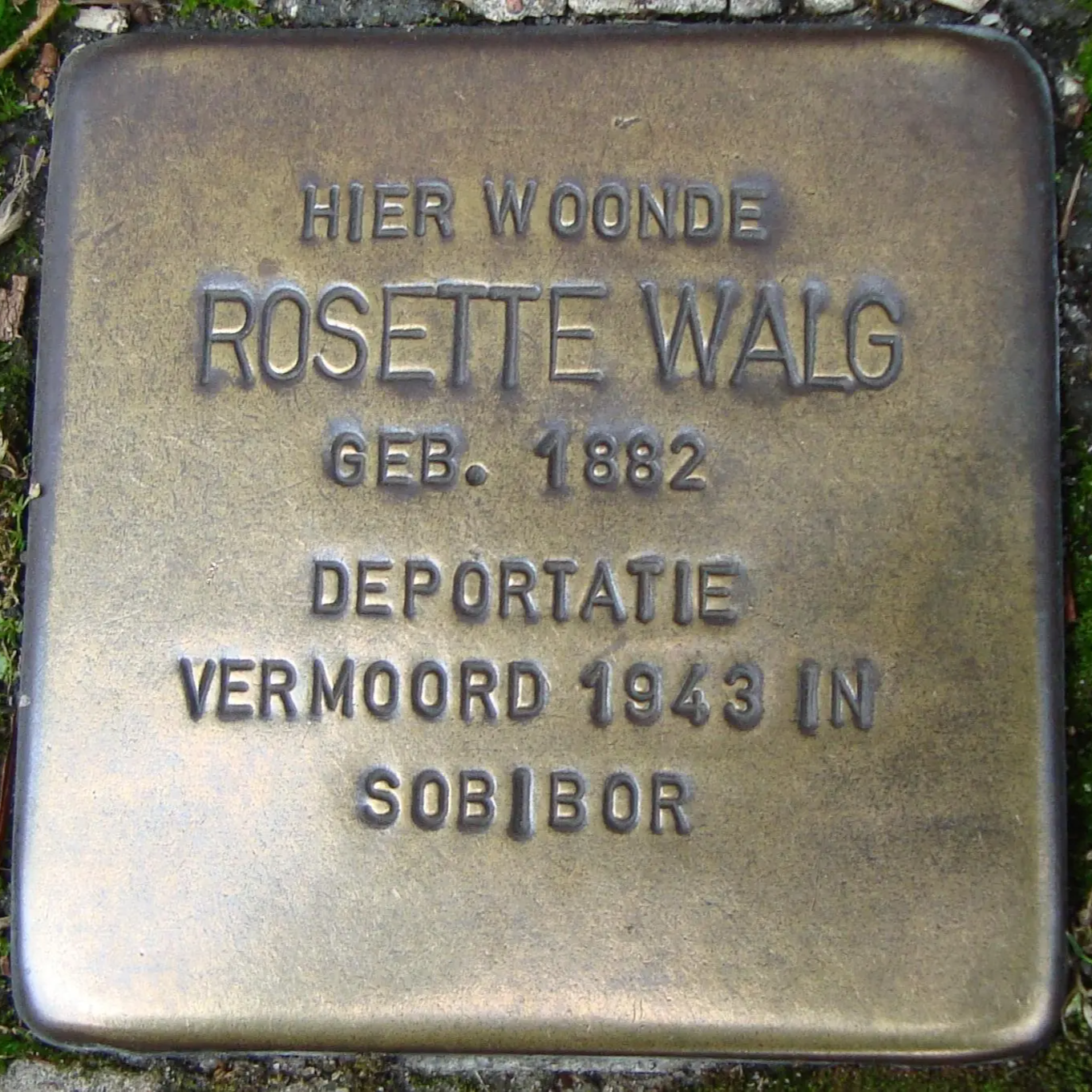 Struikelsteen voor Rosette Walg