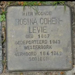 Struikelsteen voor Rosina Cohen-Levie
