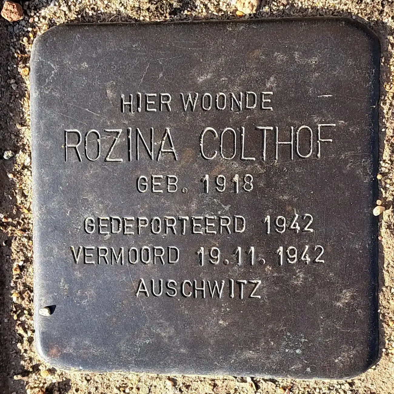 Struikelsteen voor Rozina Colthof