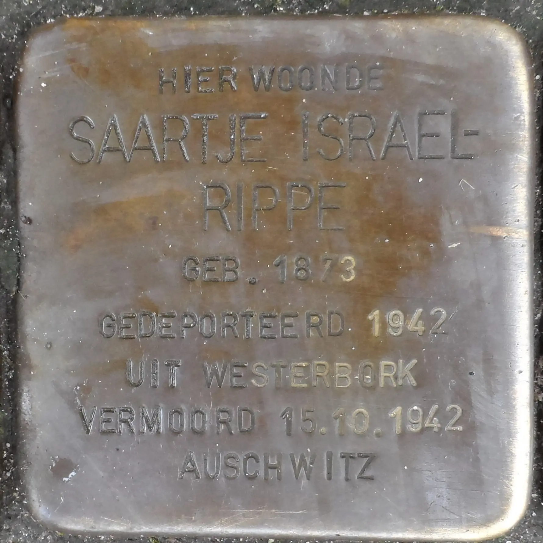 Struikelsteen voor Saartje Israel-Rippe