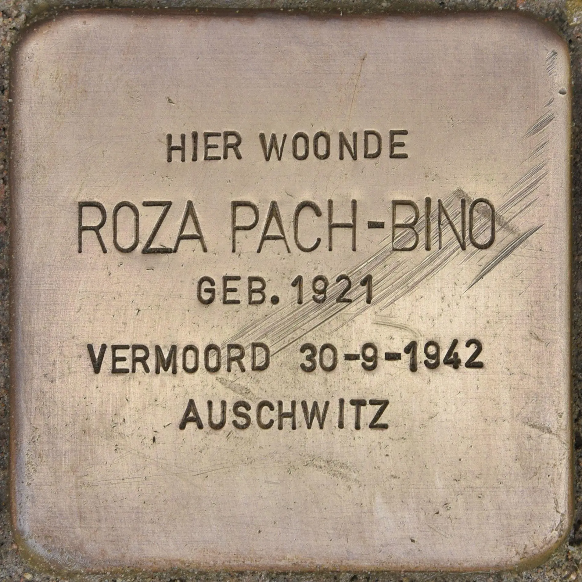 Struikelsteen voor Roza Pach-Bino