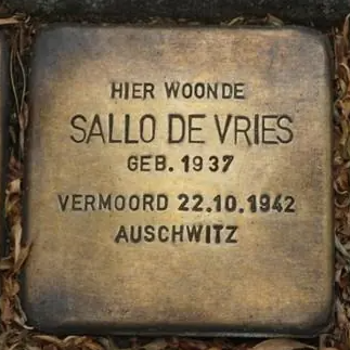 Struikelsteen voor Sallo de Vries