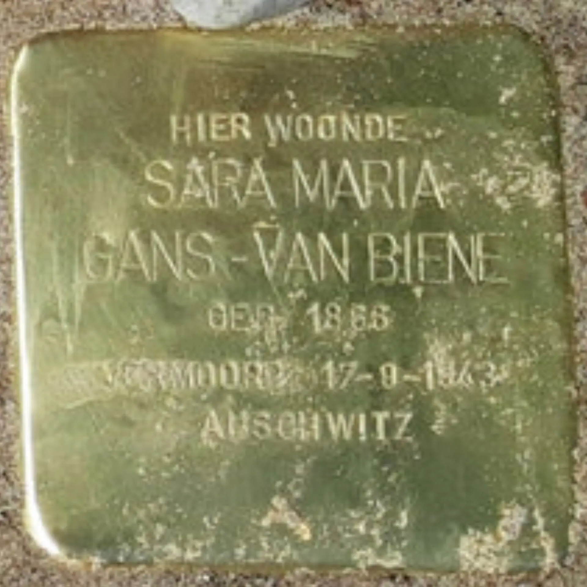 Struikelsteen voor Sara Maria Gans-van Biene