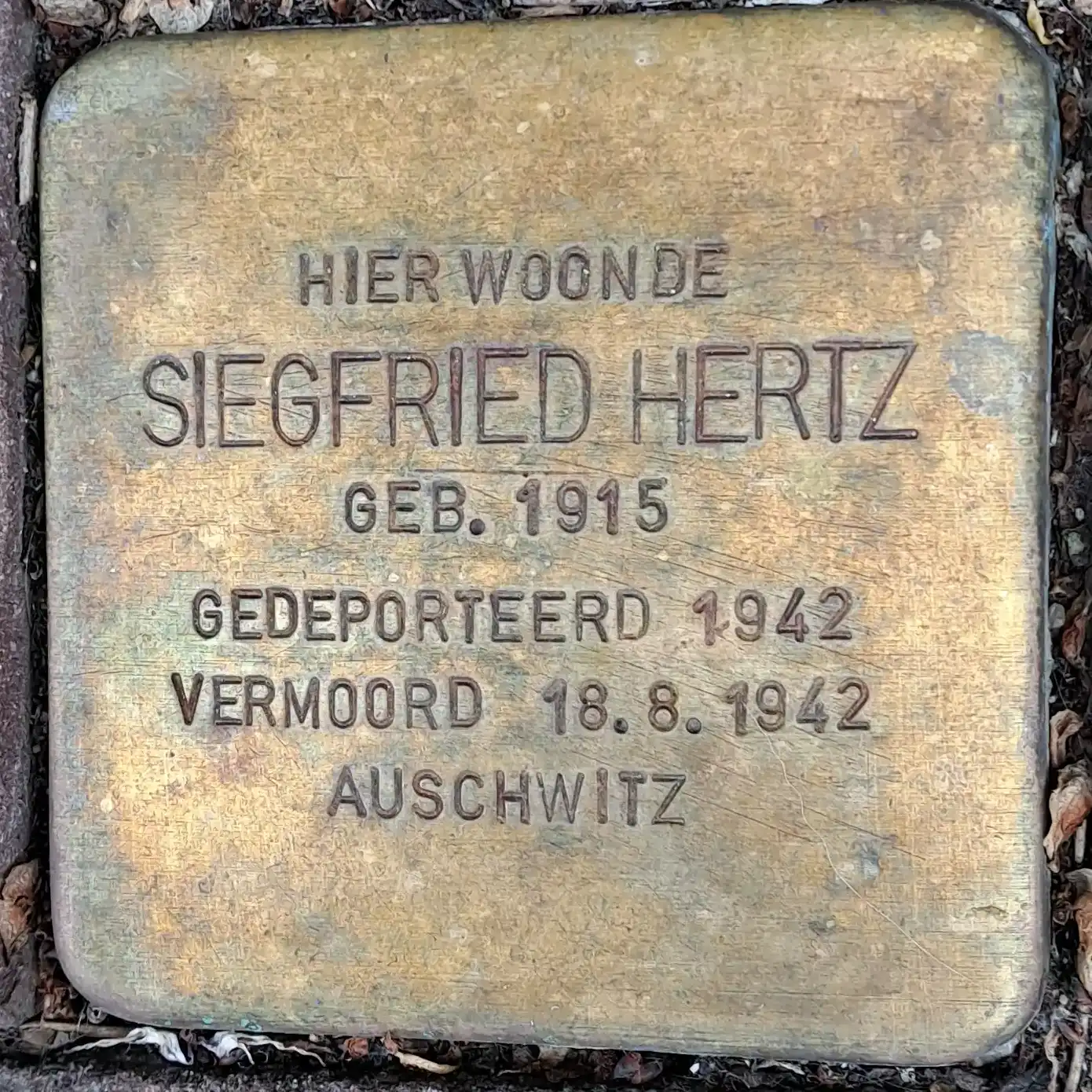 Struikelsteen voor Siegfried Hertz