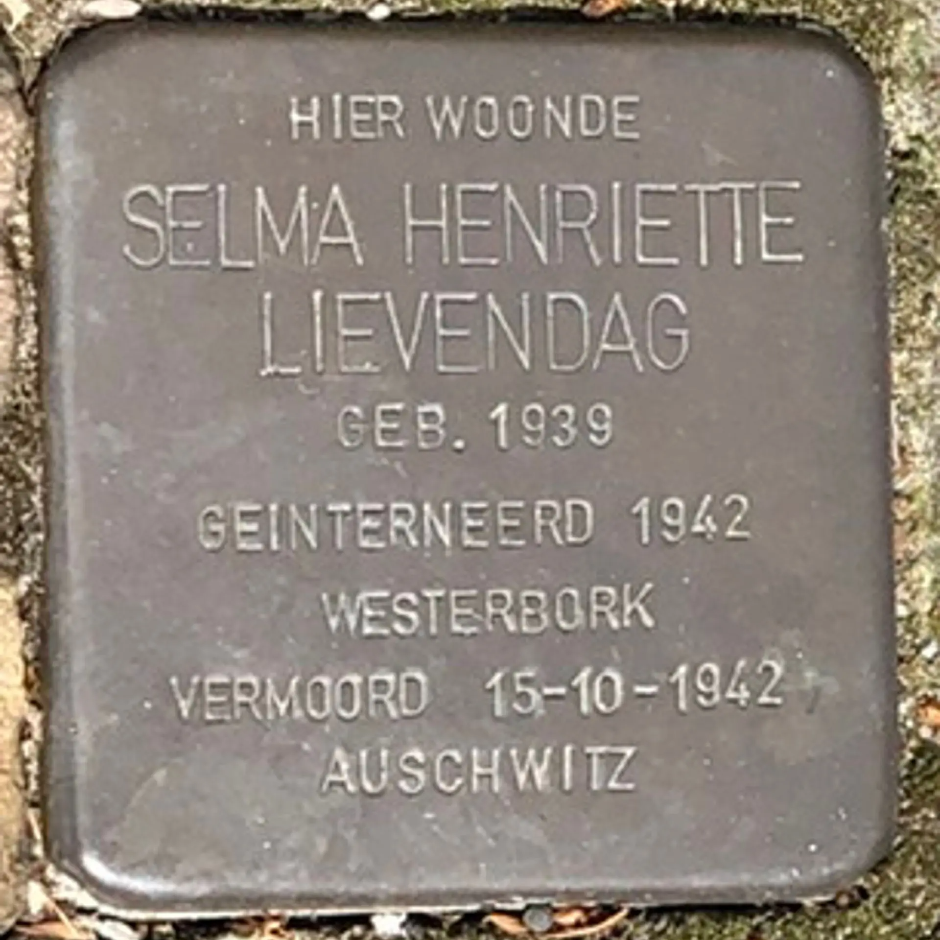 Struikelsteen voor Selma Henriette Lievendag