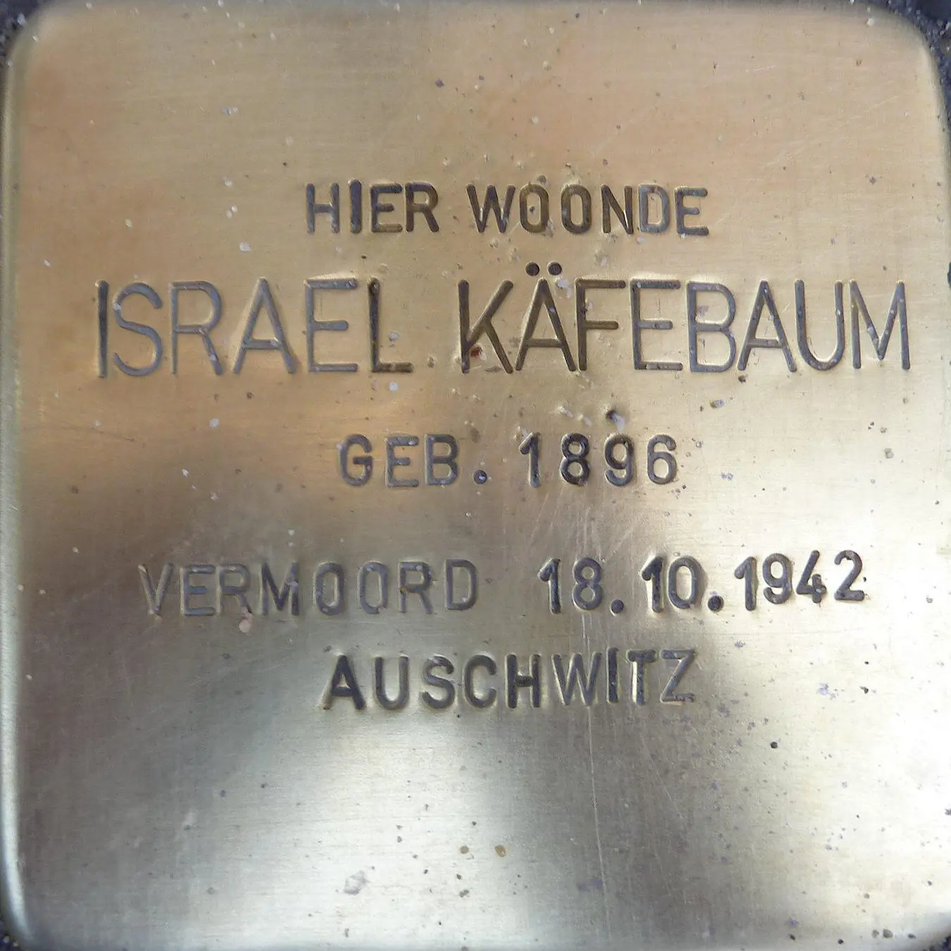 Struikelsteen voor Israel Käfebaum