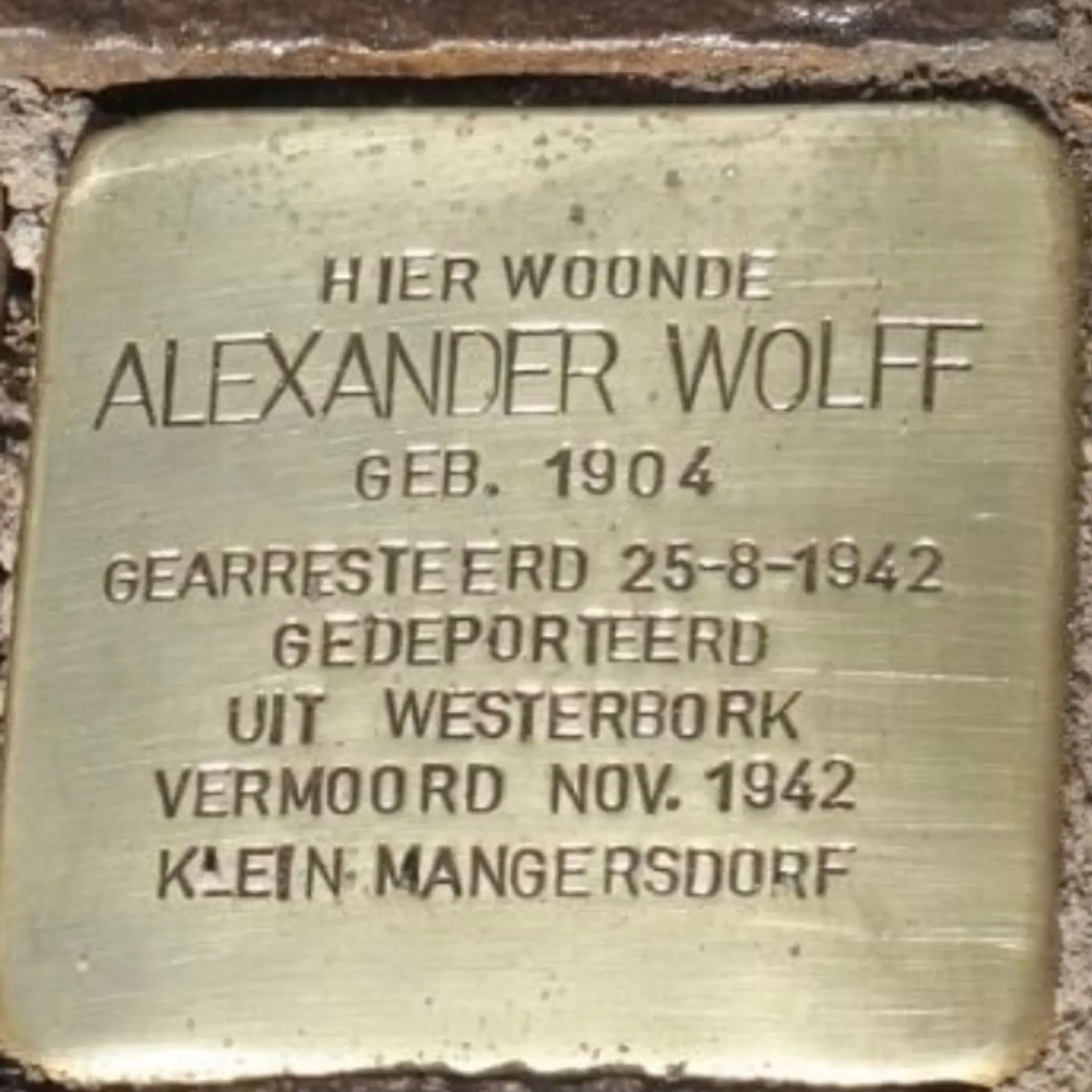 Struikelsteen voor Alexander Wolff