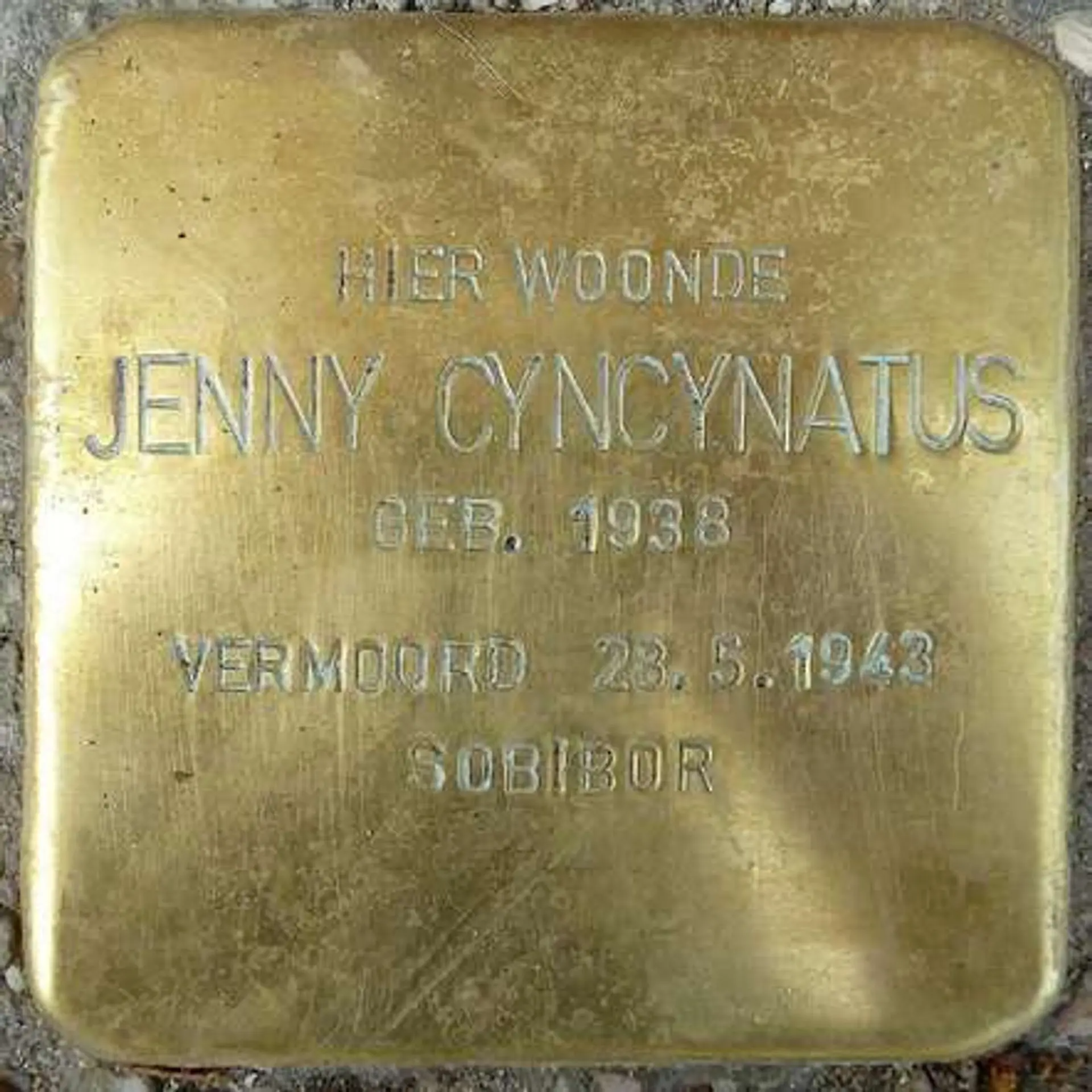 Struikelsteen voor Jenny Cyncynatus