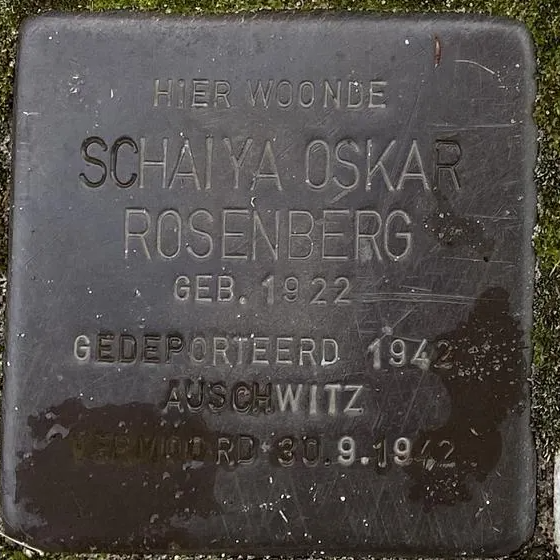 Struikelsteen voor Schaiya Oskar Rosenberg