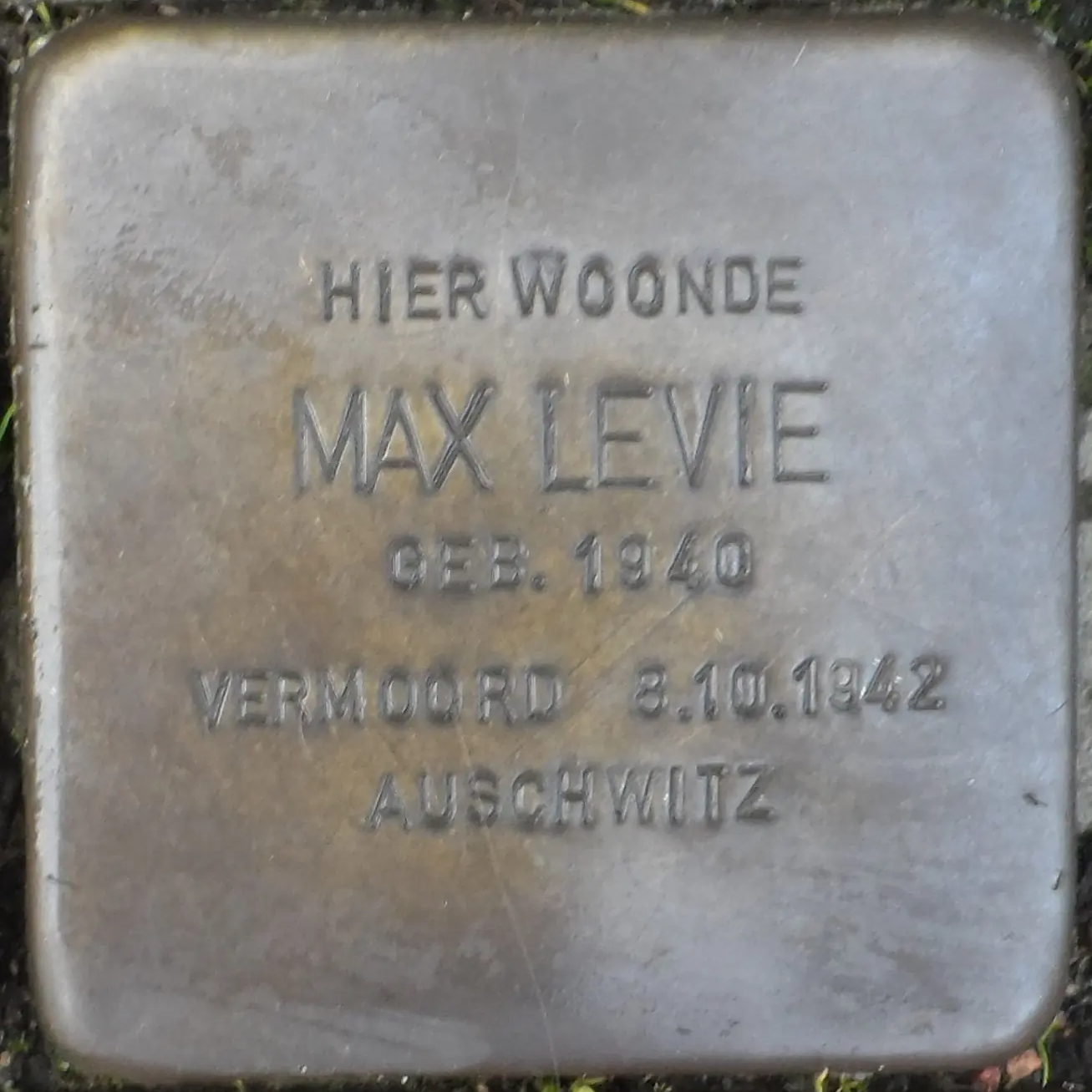 Struikelsteen voor Max Levie