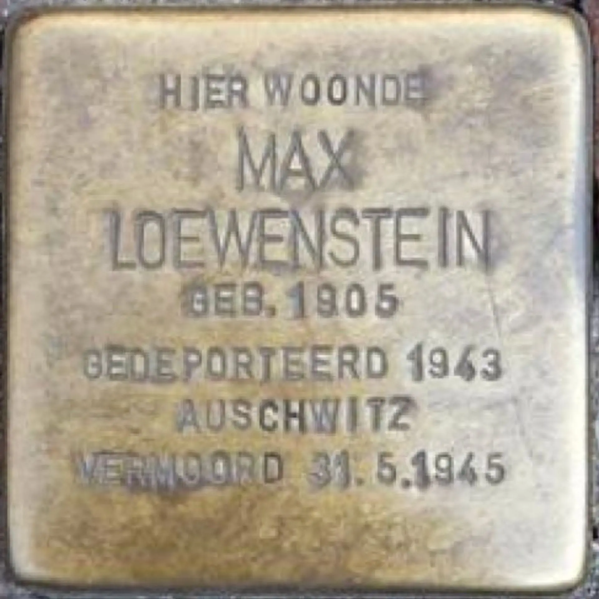 Struikelsteen voor Max Loewenstein