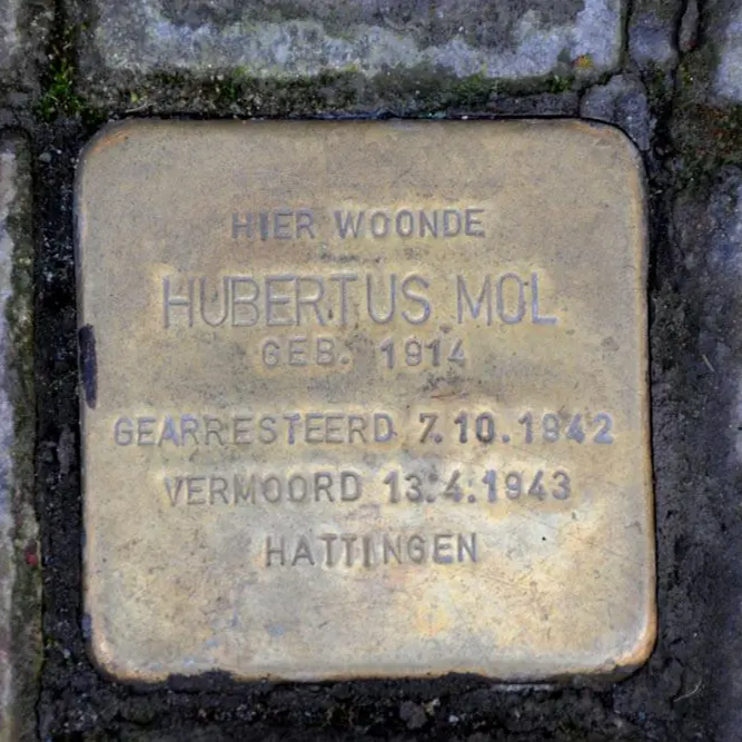 Struikelsteen voor Hubertus Antonius Maria Mol