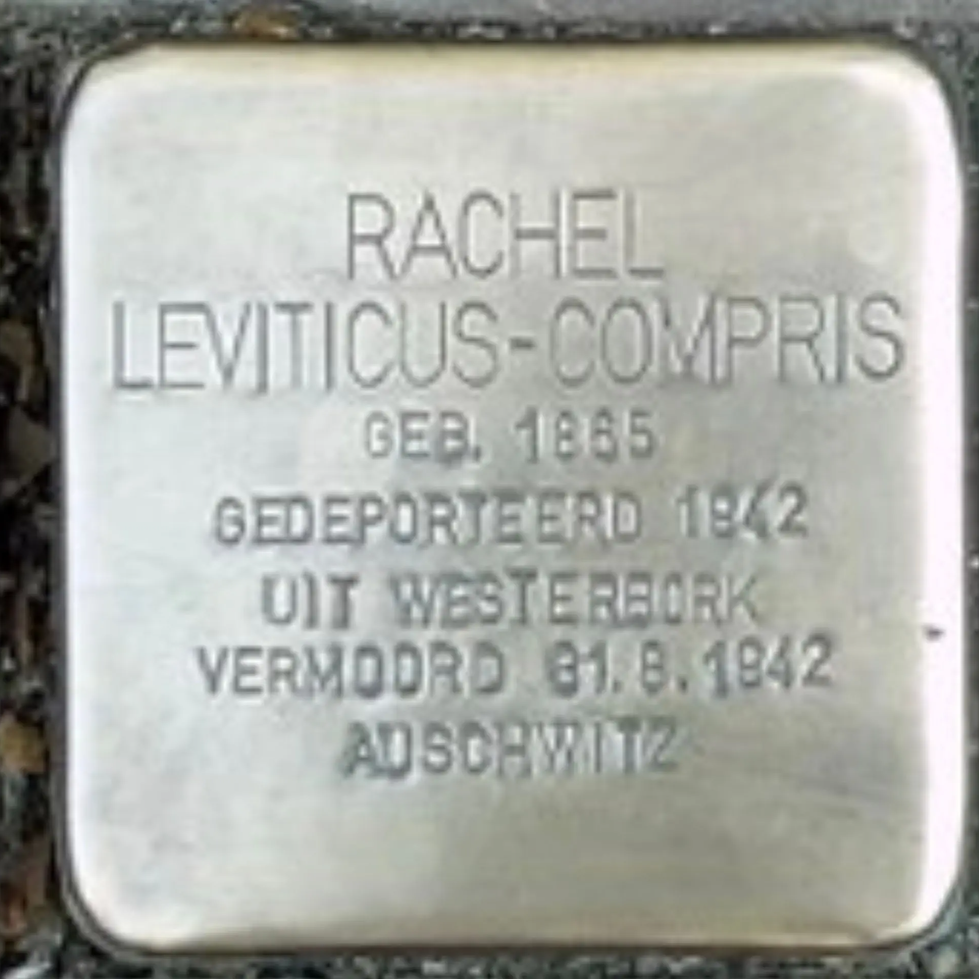 Struikelsteen voor Rachel Leviticus-Compris