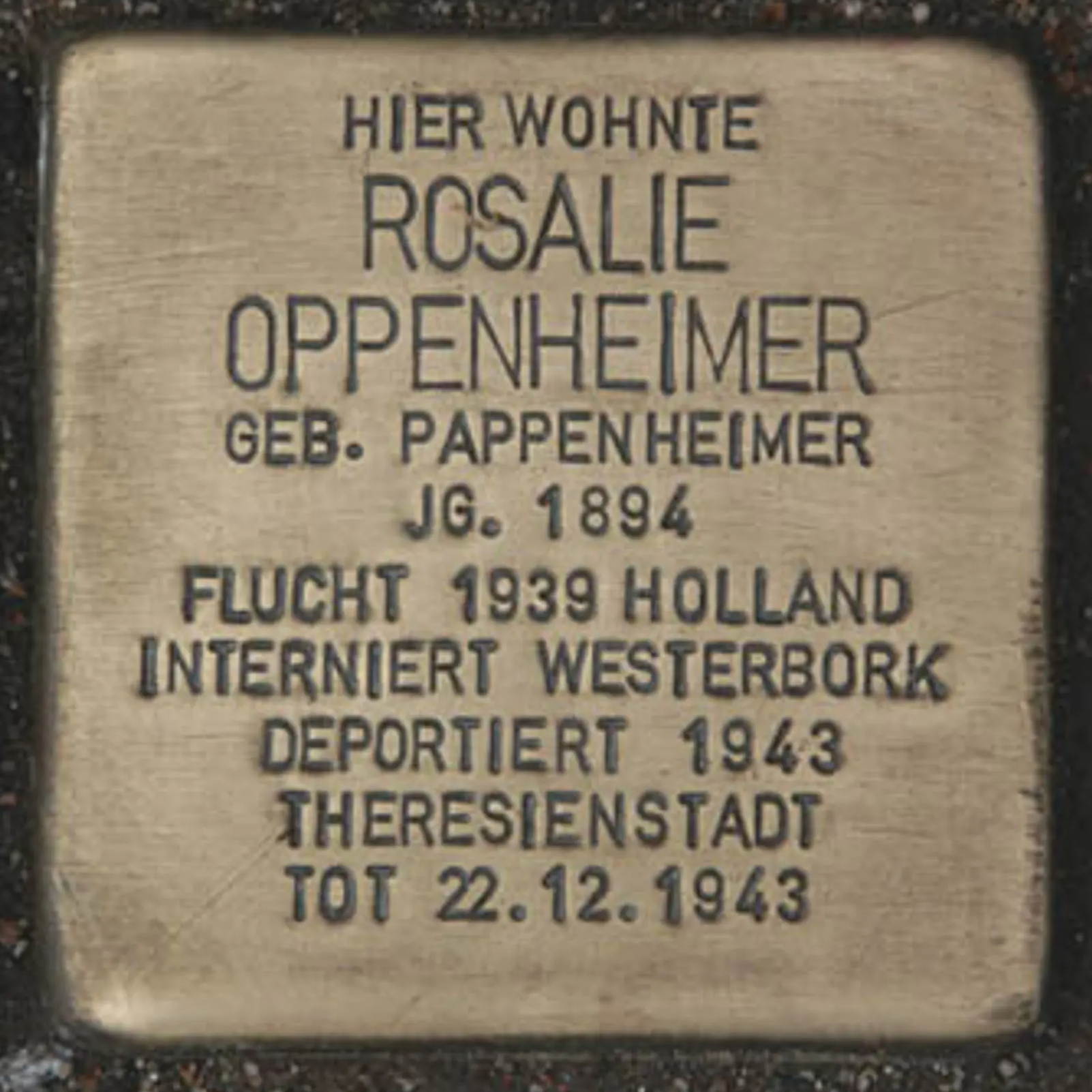 Struikelsteen voor Rosalie Oppenheimer-Pappenheimer