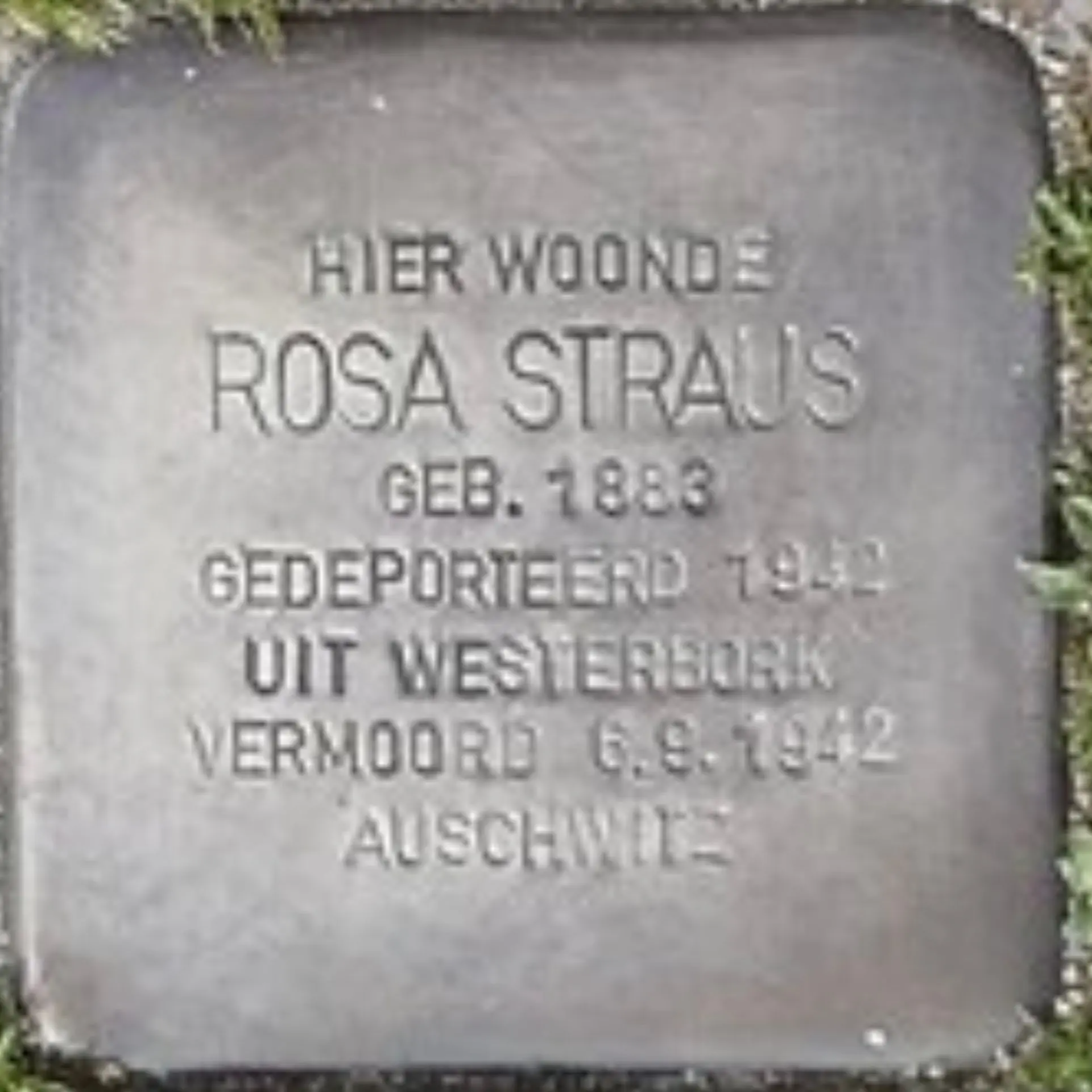 Struikelsteen voor Rosa Straus