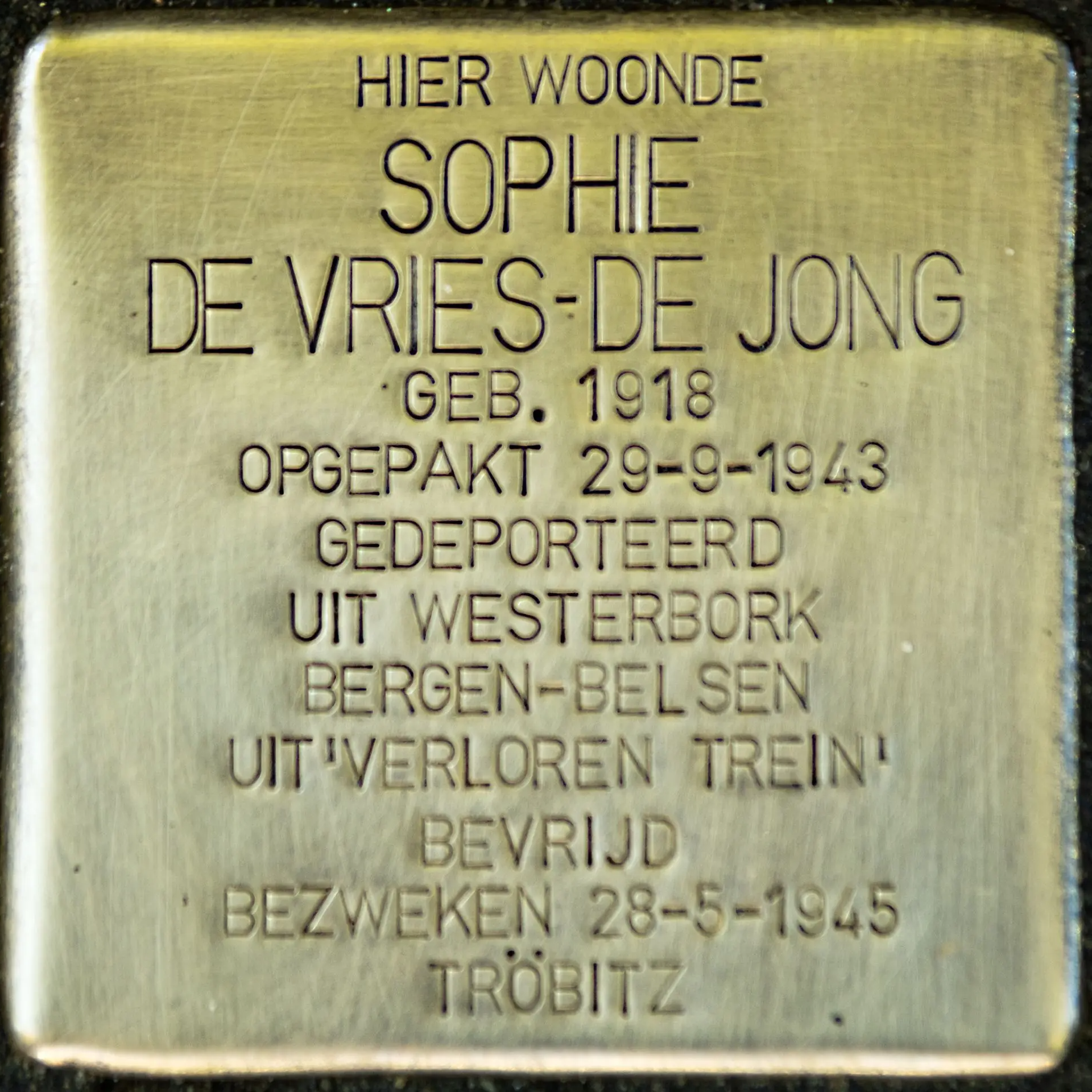 Struikelsteen voor Sophie de Vries-de Jong