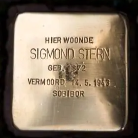 Struikelsteen voor Sigmond Stern