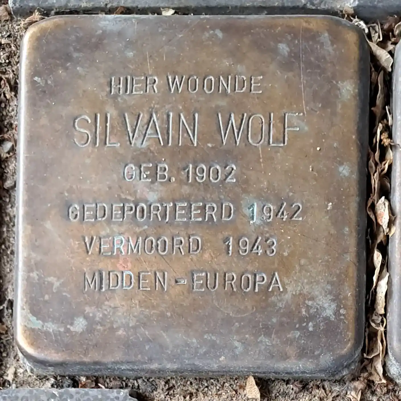 Struikelsteen voor Silvain Wolf