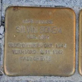 Struikelsteen voor Silvin Bonem