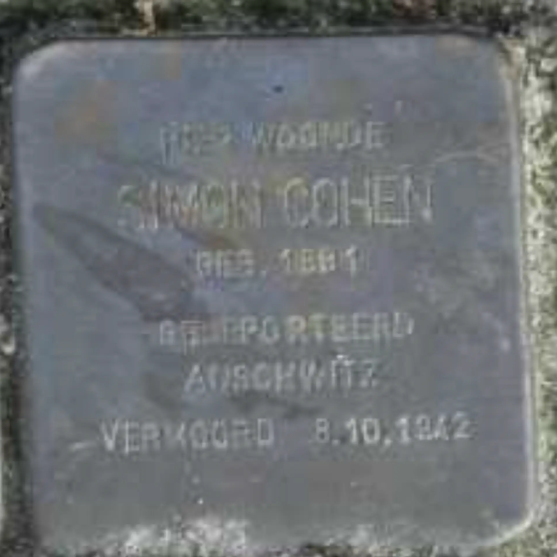 Struikelsteen voor Simon Cohen