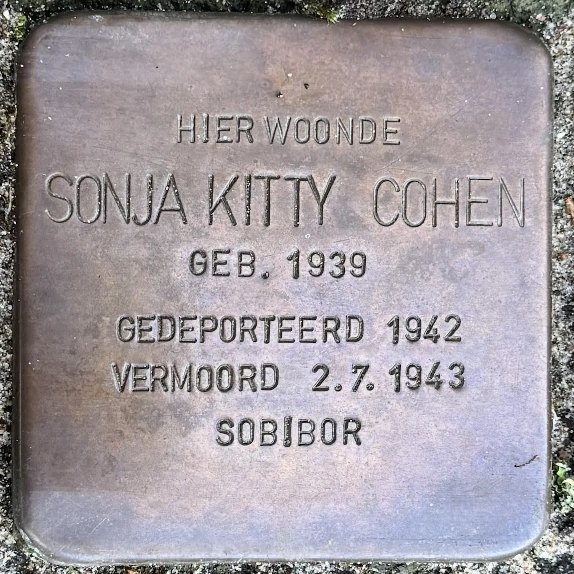 Struikelsteen voor Sonja Kitty Cohen