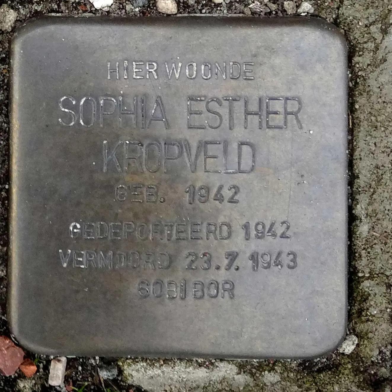 Struikelsteen voor Sophia Esther Kropveld