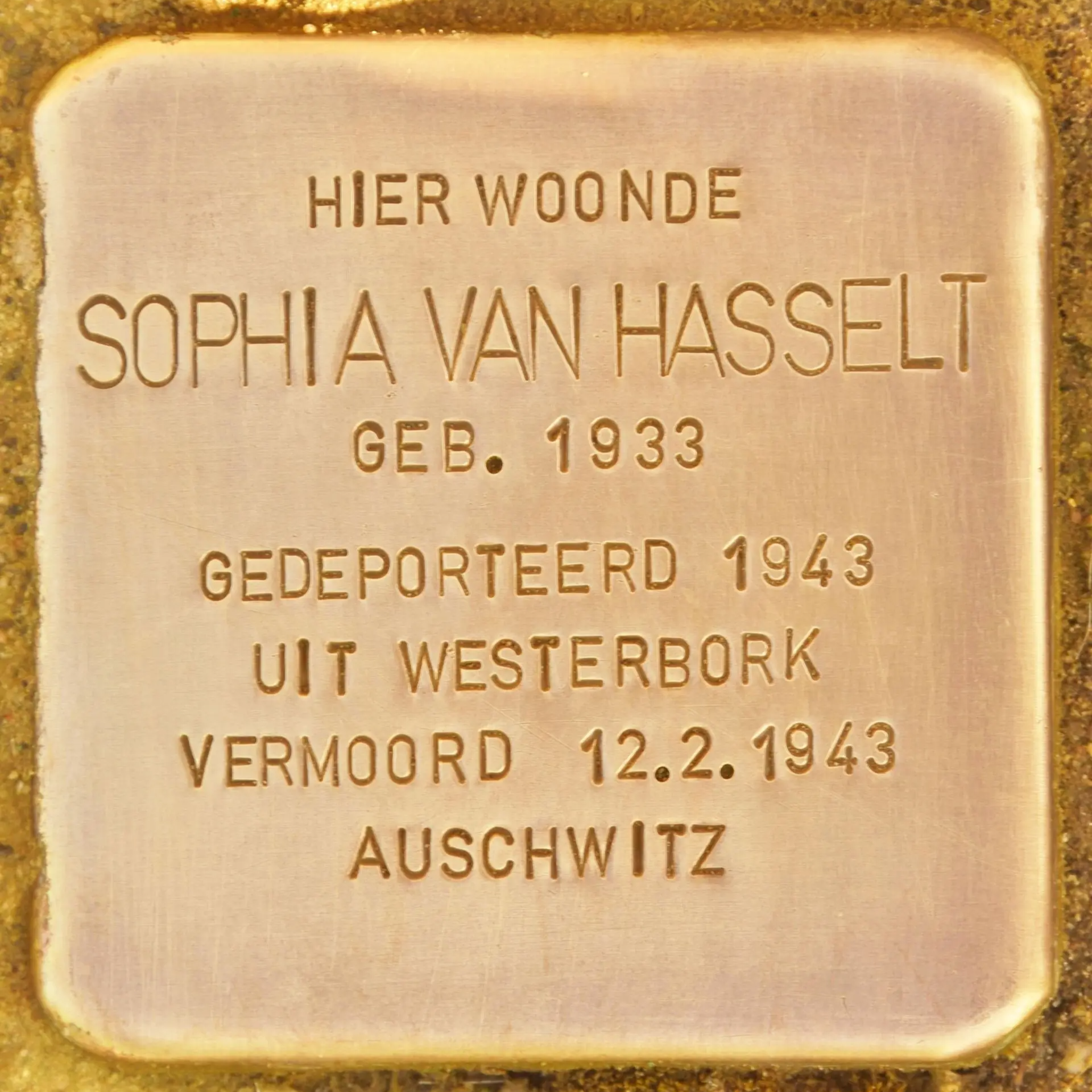 Struikelsteen voor Sophia Kaatje van Hasselt