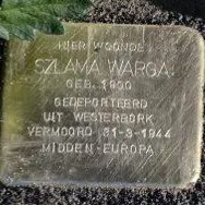 Struikelsteen voor Szlama Warga