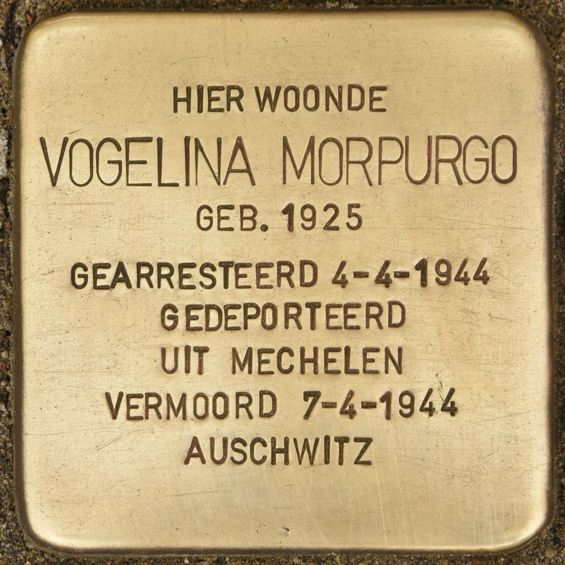 Struikelsteen voor Vogelina Morpurgo