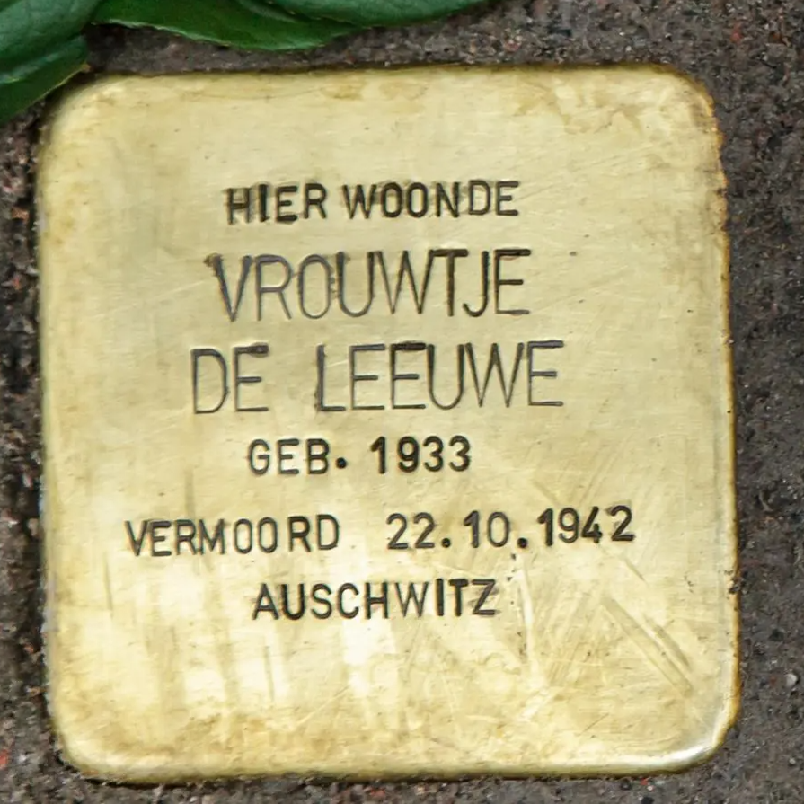 Struikelsteen voor Vrouwtje de Leeuwe