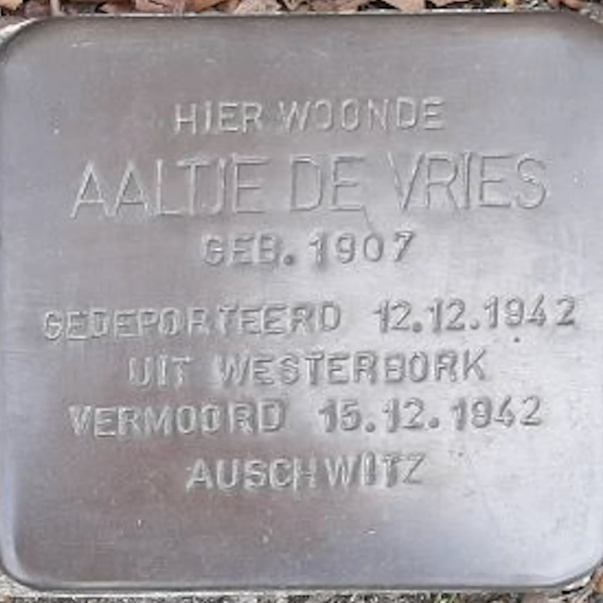 Struikelsteen voor Aaltje Israëls-de Vries