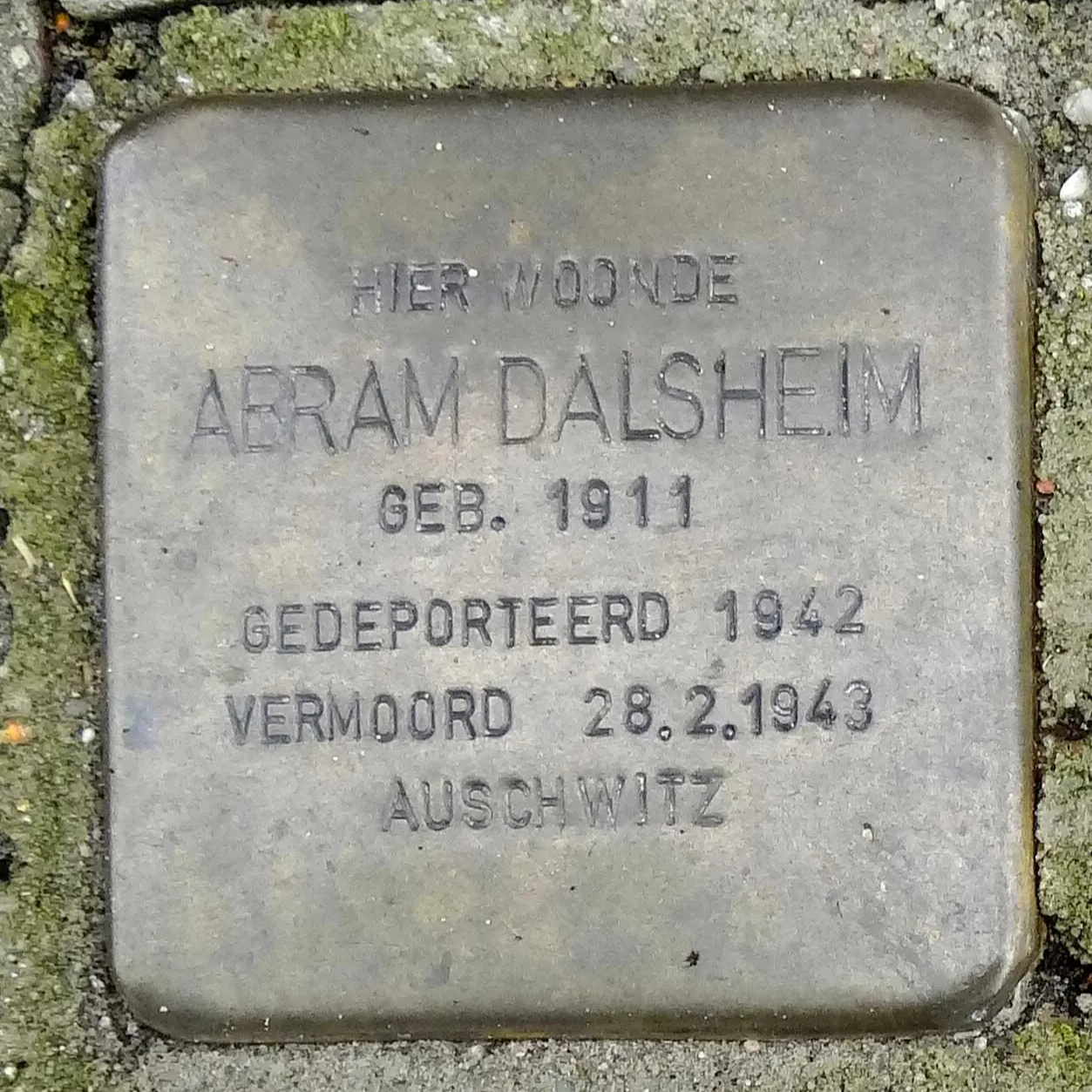 Struikelsteen voor Abram Dalsheim