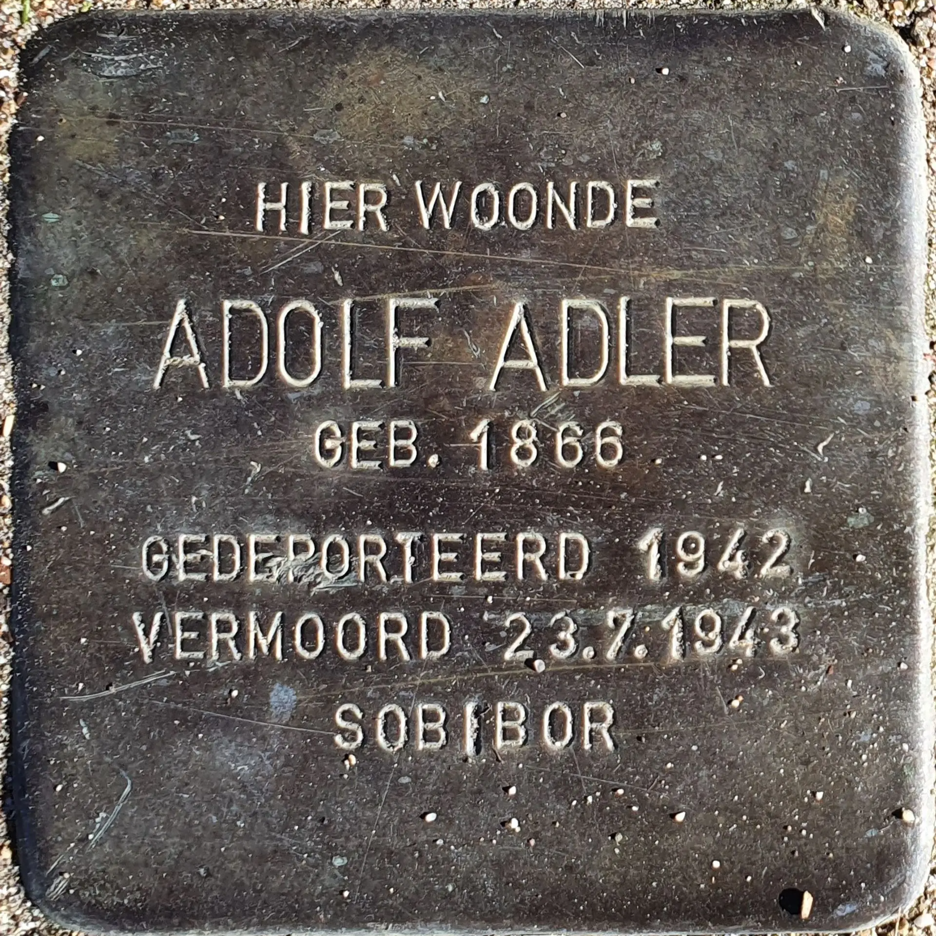 Placeholder