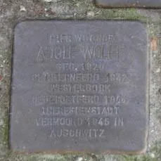 Struikelsteen voor Adolf Wolff