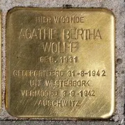Struikelsteen voor Agathe Bertha Wolff