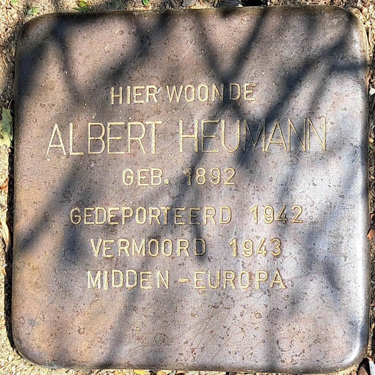 Struikelsteen voor Albert Heumann